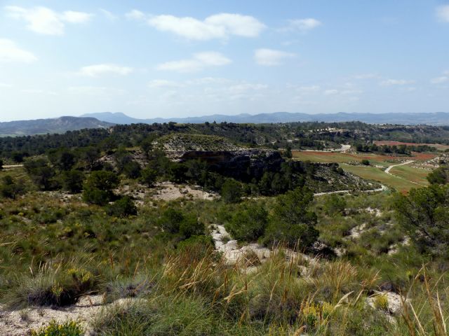 IU-V denuncia un vertedero de desechos de curtidos en un paraje de la diputación de Torrealvilla