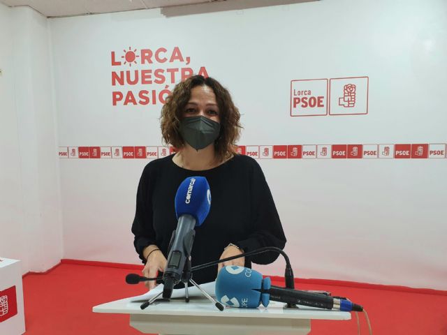 El PSOE con respecto a las declaraciones del señor Meca sobre la atención a los vecinos afectados por las expropiaciones del AVE: 'si no quieren contar la verdad, por lo menos que consulten bien las fechas'