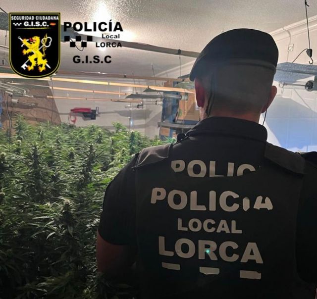 Policía Local desmantela un cultivo de más de 100 plantas de marihuana en una vivienda del barrio de San Lázaro