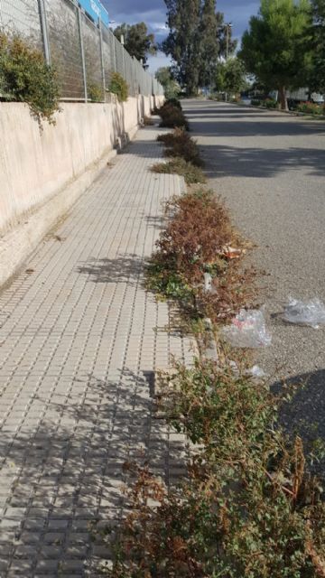 El sector secundario de Lorca, la gestión de los polígonos industriales y la ausencia de centros tecnológicos públicos en Lorca, objetivos de IU al próximo Pleno