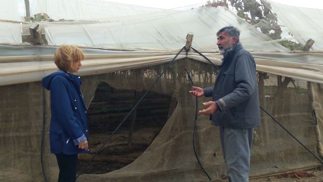 Un grupo de ladrones saquea una explotación agrícola en El Hinojar y se llevan más de una tonelada de fruta en menos de 20 minutos y a plena luz del día