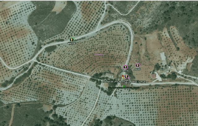 Conato de incendio forestal en la Rambla de la Carrasquilla, Lorca