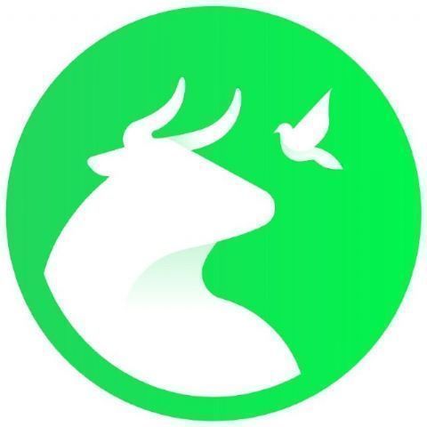 PACMA afea que López Miras fuerce a caballos para su cuadriga: 'Si quiere espectáculo, que tire él del carro'