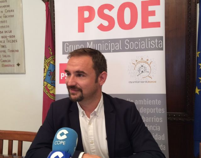 El PSOE reclama soluciones urgentes para evitar los peligrosos desprendimientos de la ladera del Castillo que siguen produciéndose
