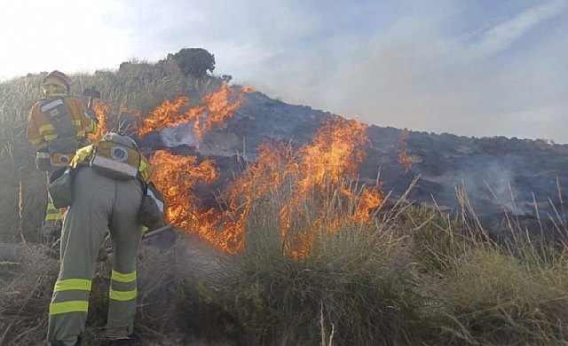 Servicios de emergencias han atendido un incendio forestal en Zarcilla de Ramos, Lorca