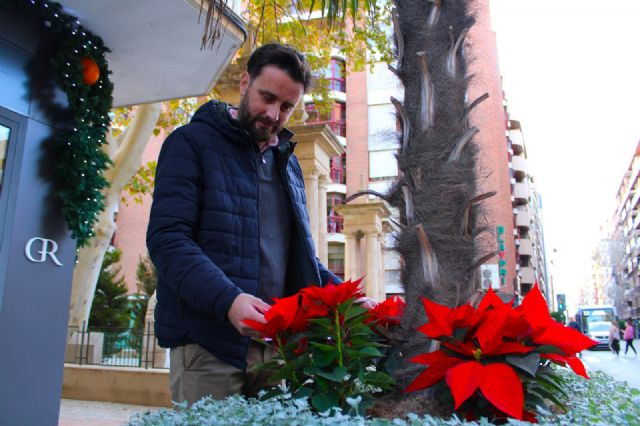 La Navidad llega a los espacios verdes de Lorca con 2.000 flores de pascua