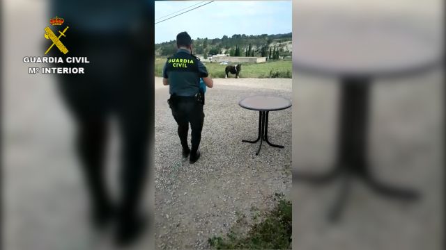 La Guardia Civil auxilia a un pony atado al sol sin agua