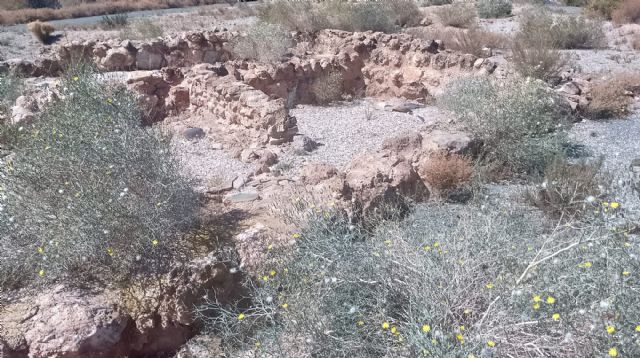 Denuncian el abandono del yacimiento argárico El Rincón de Almendricos