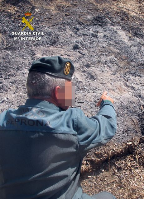 La Guardia Civil investiga al presunto autor del incendio de 40 hectáreas de la Sierra de La Almenara