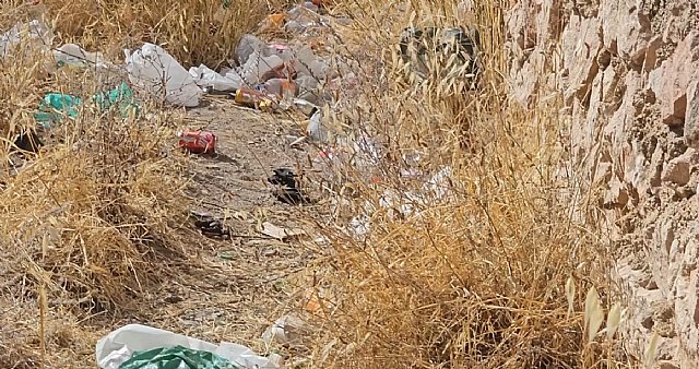 El PSOE denuncia la situación insostenible de suciedad en el parque de Los Ángeles