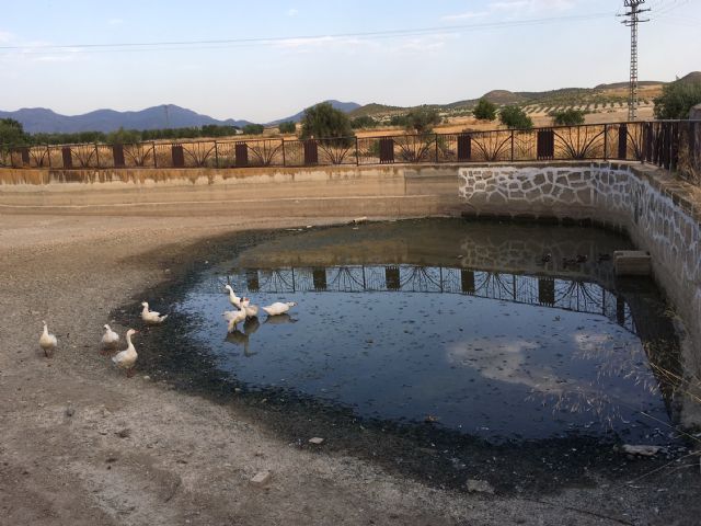 El PSOE solicita la reparación urgente del estanque de Doña Inés para evitar la pérdida de este espacio natural