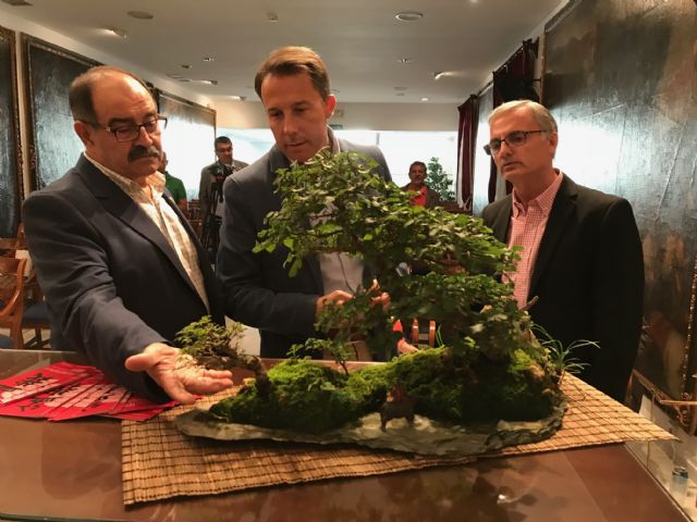 El Centro de Ferias y Congresos acoge del 19 al 21 de octubre el XXVI Congreso Nacional de Bonsái que reunirá a los mayores expertos nacionales