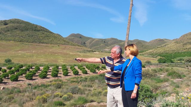 Arrancan y roban un kilómetro de tendido eléctrico en Morata y fuerzan una veintena de casetas agrícolas en la pedanía de Ramonete