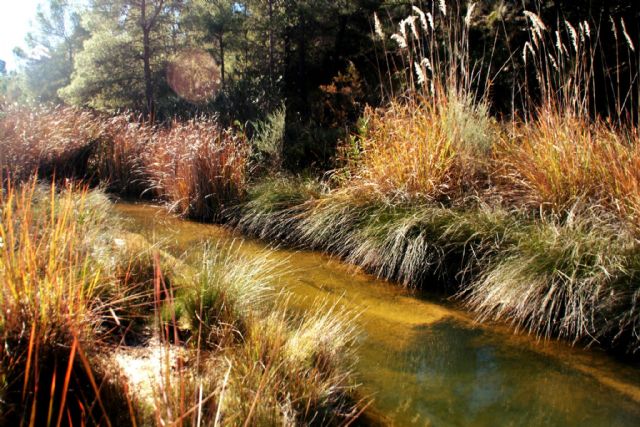 IU-Verdes apuesta por 'blindar' las Tierras Altas de Lorca y favorecer su desarrollo sostenible