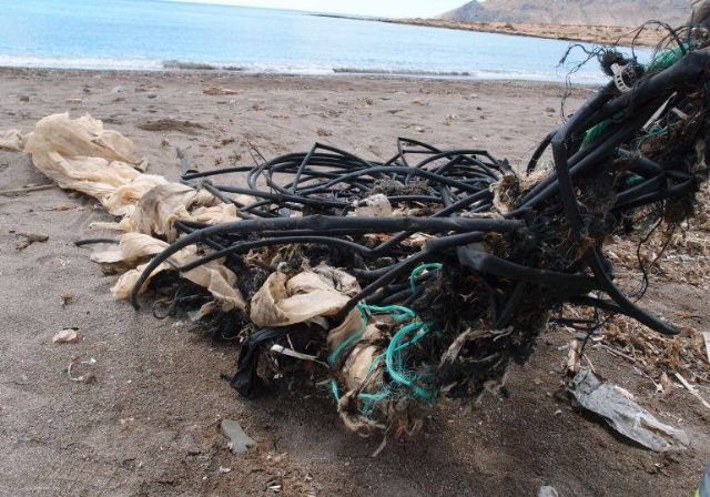 IU-Verdes Lorca propondrá 'nuevos instrumentos jurídicos' ante la amenaza persistente a los espacios naturales