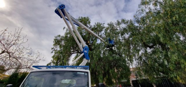 El Ayuntamiento de Lorca colabora con la Fundación Cepaim en la colocación de 40 casas nido en el arbolado de los colegios San José y José Robles