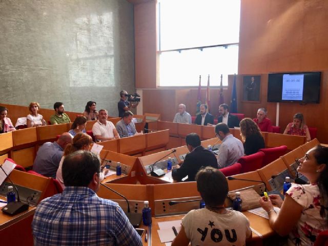 El Pleno del Ayuntamiento aprueba 'por unanimidad' adoptar medidas para paliar los efectos causados por las lluvias