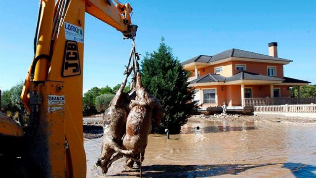 IU Lorca pide explicaciones sobre el colector de pluviales de Saprelorca cuya construcción debía haber empezado en 2018