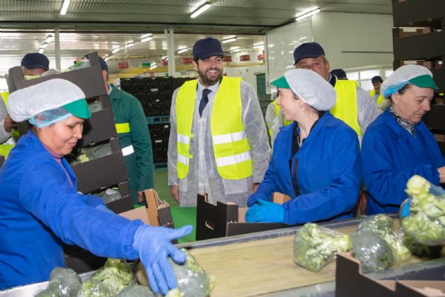 López Miras destaca la capacidad del sector agrícola para impulsar el cultivo ecológico, que supera ya las 80.000 hectáreas en la Región