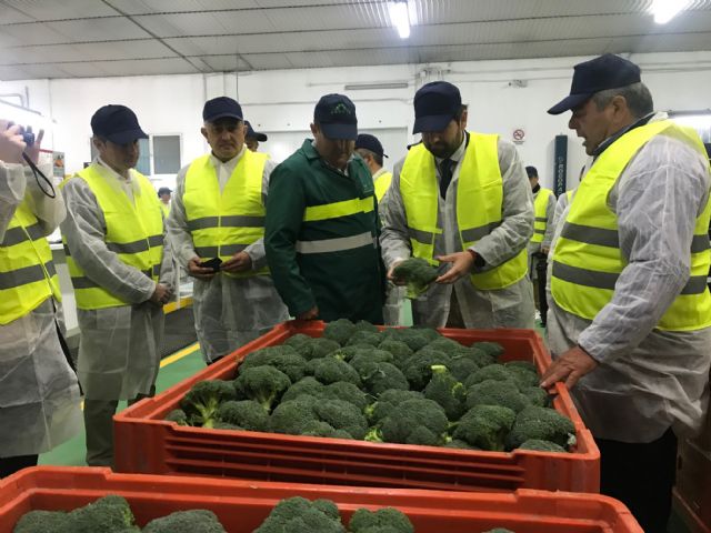 La cooperativa Sacoje, situada en la pedanía de La Hoya, se sitúa entre las empresas agrícolas de la Región que más hectáreas destina al cultivo de productos ecológicos