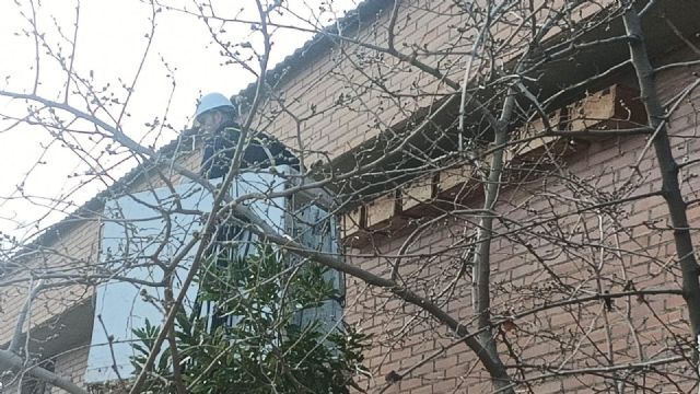 La Concejalía de Control de Plagas refuerza su compromiso con la biodiversidad urbana y la salud pública de Lorca