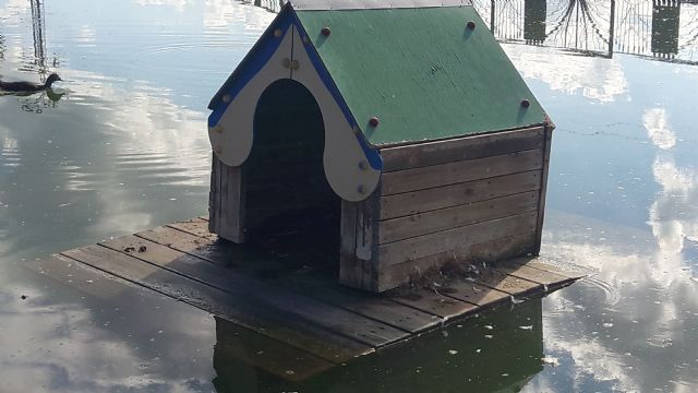 Los vecinos de Doña Inés denuncian que el pésimo estado del estanque de su pedanía ha empeorado porque el alcalde del PSOE sigue de brazos cruzados
