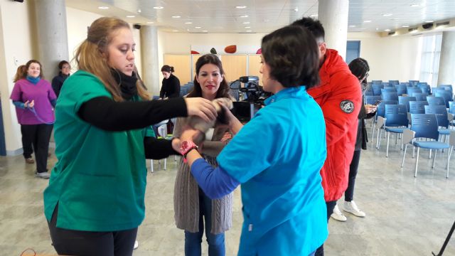 700 animales domésticos serán chipados gratuitamente