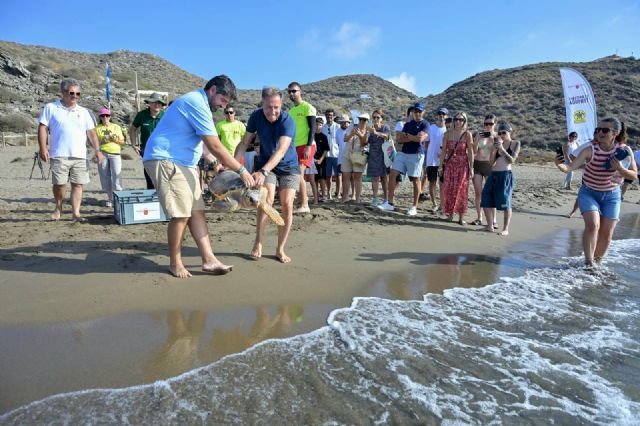 Lorca consolida Calnegre como enclave de referencia para la recuperación de la tortuga boba con la liberación de dos nuevos ejemplares