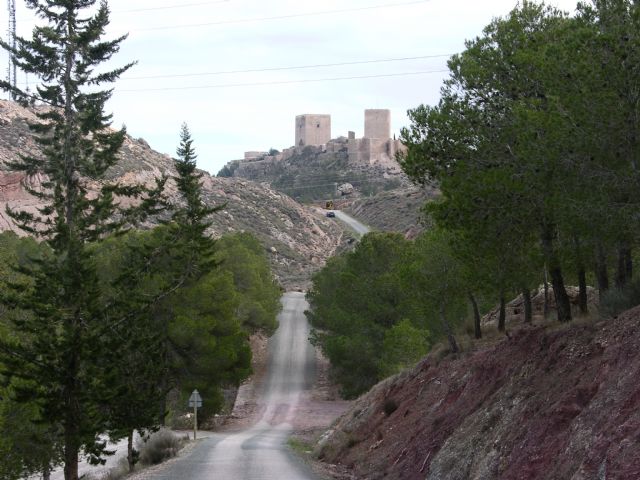 La pista forestal de la Peña Rubia y la creación de un espacio para autocaravanas, objeto de dos de los ruegos de IU en el pleno del próximo lunes