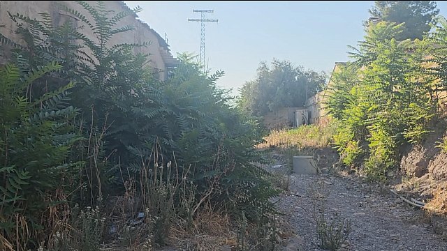 El PSOE de Lorca reclama al Gobierno del PP y VOX la limpieza inmediata de la Rambla de las Señoritas para prevenir riesgos ante posibles riadas