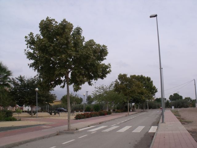 IU-V: 'el Alcalde sigue sin respetar el patrimonio natural de Lorca'