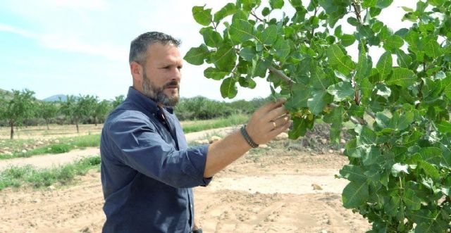 VOX Lorca denuncia el desmantelamiento de la PAC