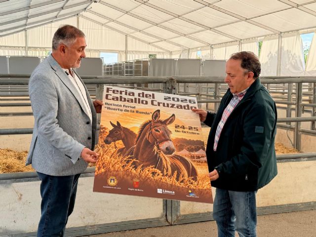 Lorca acoge este fin de semana, en el Huerto de la Rueda, la tradicional Feria del Caballo Cruzado, con la exhibición de más de un centenar de ejemplares