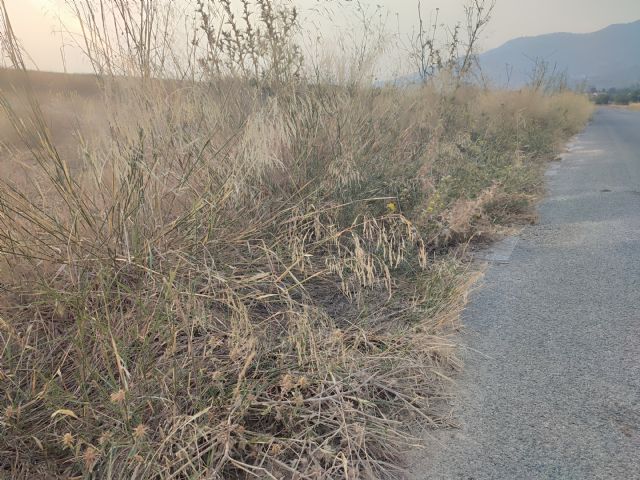 El PSOE denuncia la negligente gestión de Fulgencio Gil por el abandono del desbroce en Lorca en plena ola de incendios
