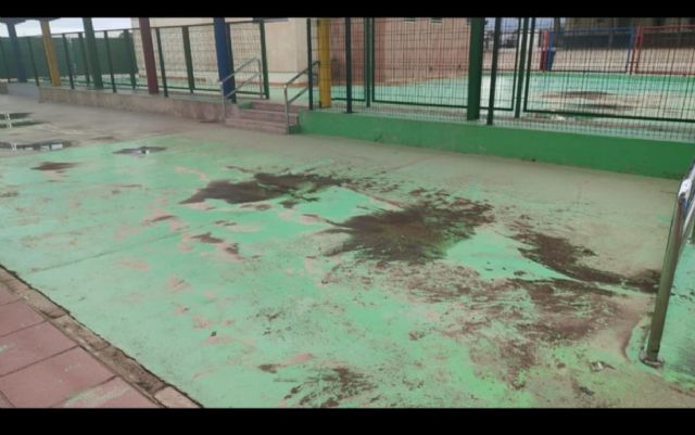 IU lleva el pleno el mal funcionamiento de distintos servicios municipales en Purias, la Hoya y Zarcilla