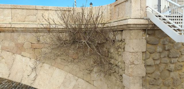 El PSOE reclama la limpieza, iluminación y puesta en valor del Puente del Barrio de cara a Semana Santa