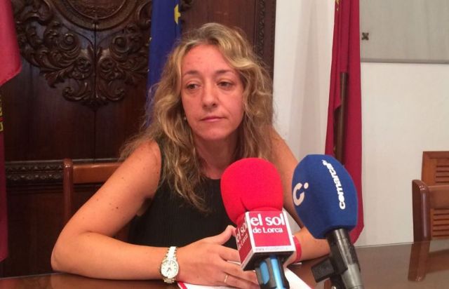 El PSOE denuncia que el IES Ros Giner sigue presentando importantes carencias un año después de su inauguración