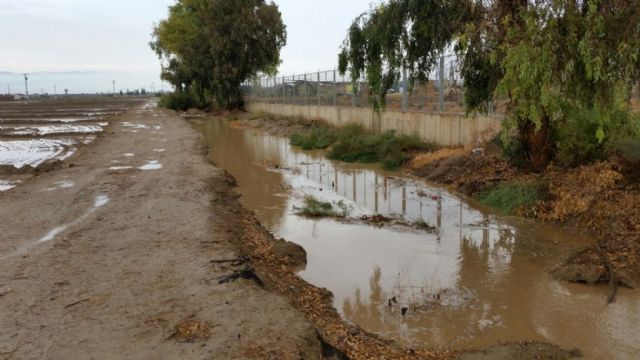IU-V solicita en pleno la revisión y limpieza de los cauces y ramblas del término municipal
