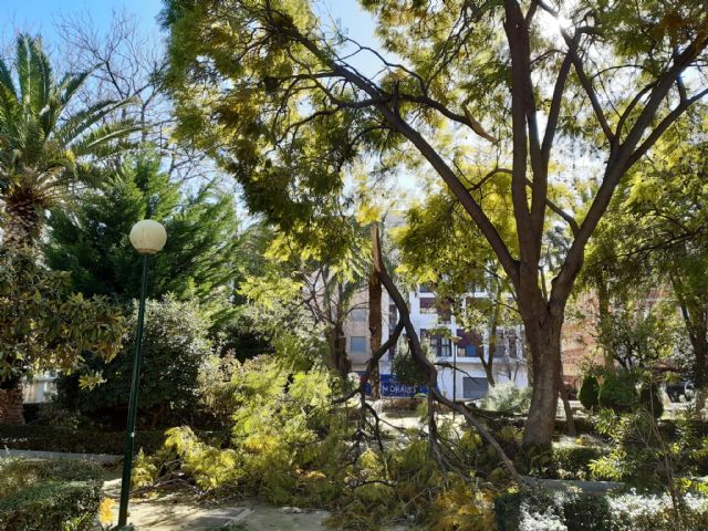 La borrasca 'Hortense' generó ayer en el municipio de Lorca más de 150 avisos a los servicios de emergencias y seguridad debido a las fuertes rachas de viento