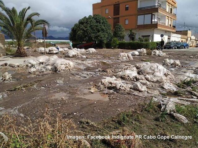 IU critica que la “interesada” falta de control esté convirtiendo a nuestras costas en un vertedero