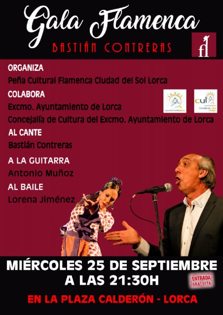 Gala 'Flamenco Ciudad del Sol '