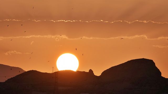 El impresionante patrimonio geológico y paleontológico de la serrata vuelve al pleno municipal
