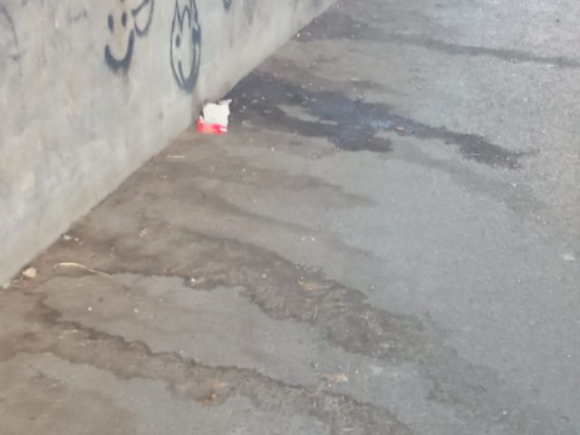 IU exige que se ataje con medidas sociales, sanitarias y urbanísticas al “cuarto mundo” instalado en el corazón de Lorca