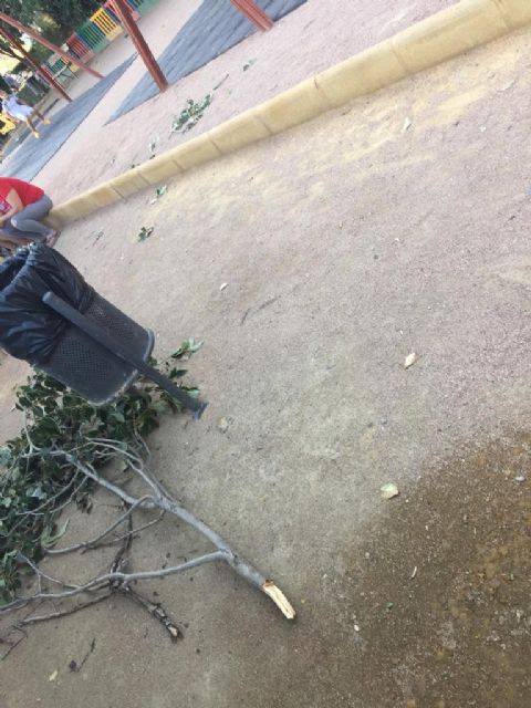 IU-Lorca alerta sobre la caída de ramas en varios puntos de Lorca