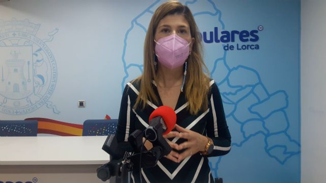 El PP consigue que el Ayuntamiento elabore un informe que determine el impacto de la devolución de los 9,5 millones que Iberdrola exige ante el Supremo