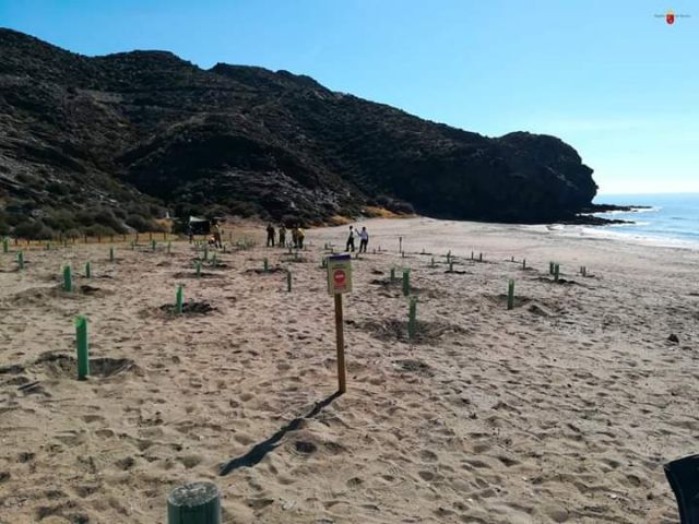 IU-Verdes Lorca pide actuar con contundencia en Calnegre y limitar su acceso ante los atentados medioambientales