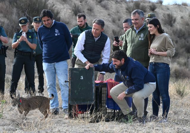 Fernando suelta dos nuevos ejemplares del lince en las Tierras Altas de Lorca