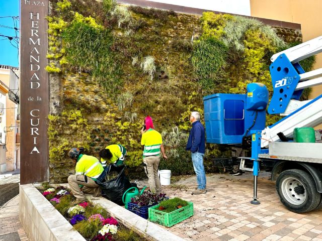 El jardín vertical de la Plaza Hermandad de la Curia, acondicionado con más de 300 nuevas plantas
