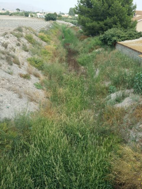 IU-V vuelve a denunciar la falta de mantenimiento del polígono de Los Peñones y su entorno