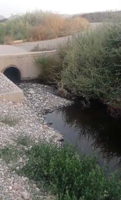 La mezcla de aguas residuales del curtido con aguas residuales urbanas y su uso para el riego podría salir muy cara a Lorca y al sector agrícola lorquino y murciano